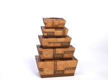 CAJA MASTER PACK ESTANDARD 1000 cc.C/200